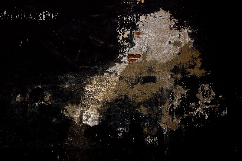 Digitization — Photography by Srini Shutterspace